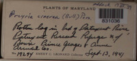 Image Associated With the Occurence